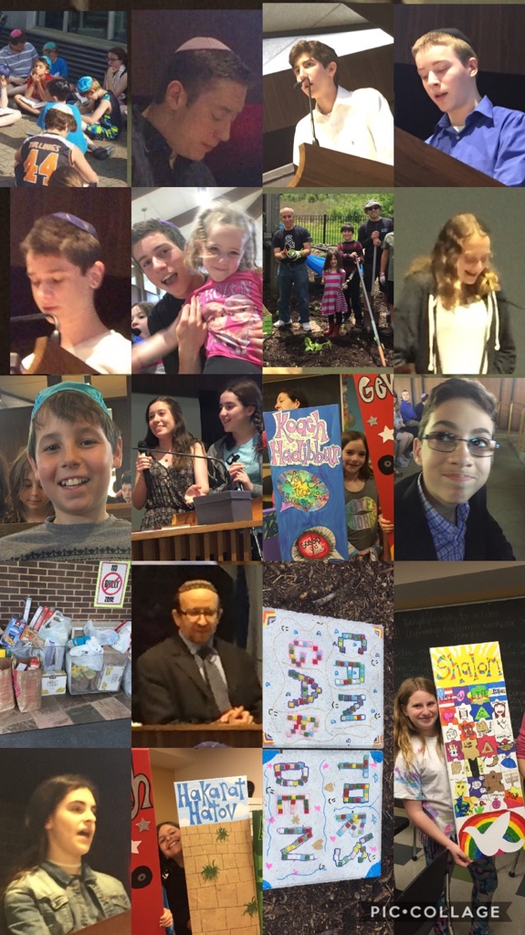Limmud Collage 5-26-17